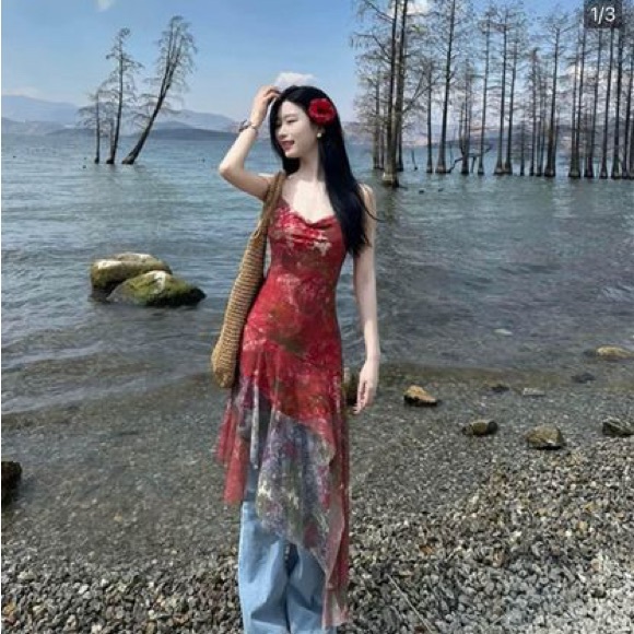 Dress NEW WITH TAG - Picture 4 of 4